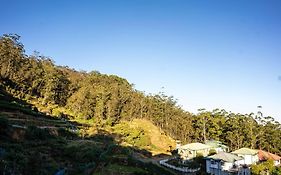 Forest View Lodge